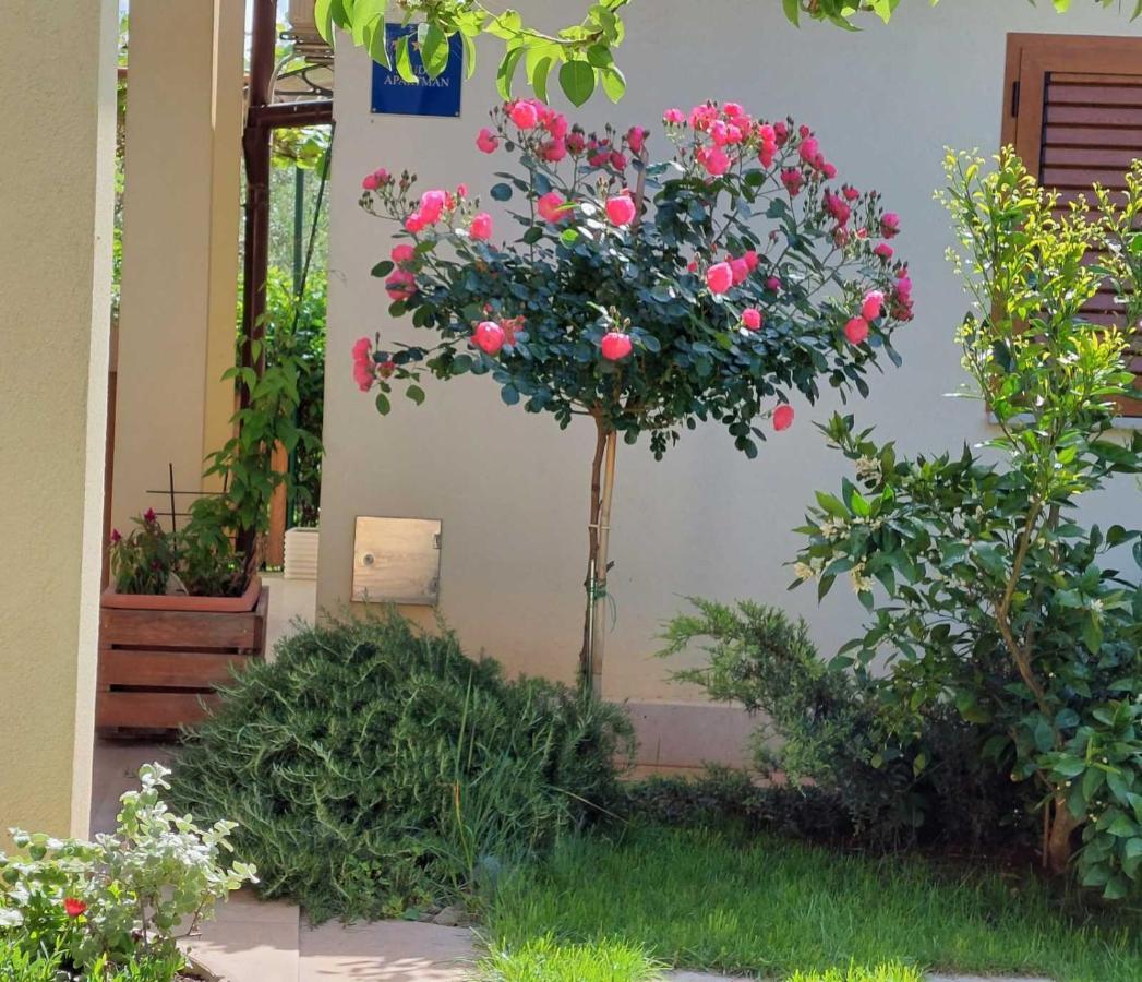 Adriatic Apartments Nada Fazana Ngoại thất bức ảnh